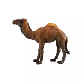 Collecta Фигурка Одногорбый верблюд