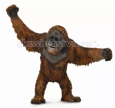 Collecta Фигурка Орангутан L