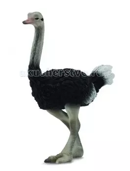 Collecta Фигурка Страуса L