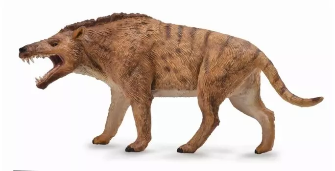 Collecta Эндрюсарх