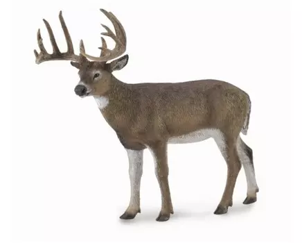 Collecta Олень белохвостый