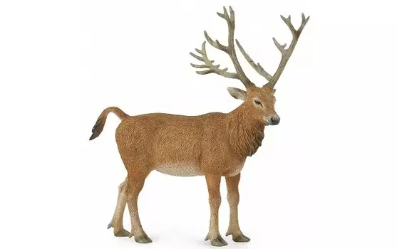 Collecta Олень Давида Милу L