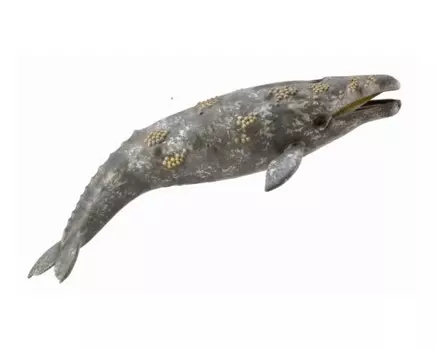 Collecta Серый кит