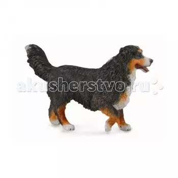 Collecta Собака Бернский зенненхунд L