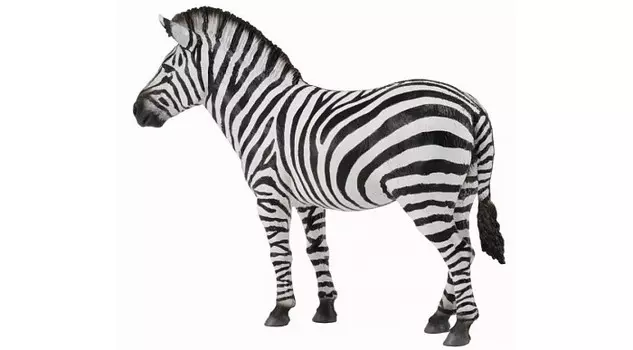 Collecta Зебра обыкновенная L
