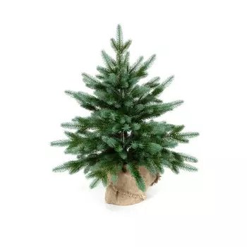 Crystal Trees Ель Изумрудная Эдит 60 см