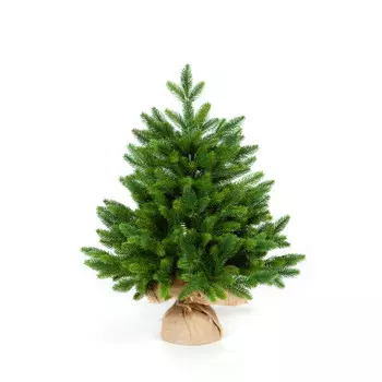 Crystal Trees Ель Триумф 60 см