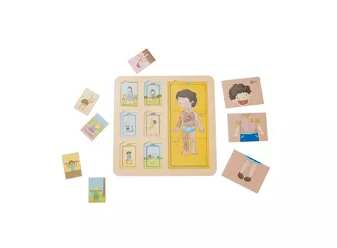 Деревянная игрушка Classic World Пазл-вкладыш Тело