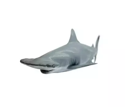 Детское время Фигурка - Акула-молот