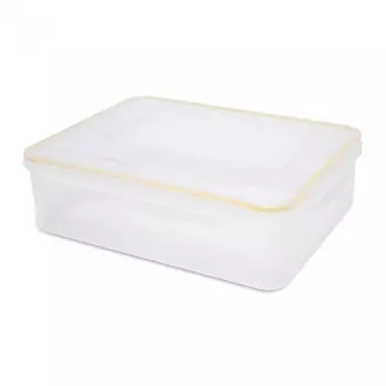 DOSH | HOME Контейнер прямоугольный Sagitta 3.8 л