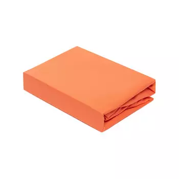 Dream Time Простыня на резинке 200х90 SH-46-090-200av