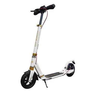 Двухколесный самокат Sportsbaby MS-118 City Scooter Disk Brake