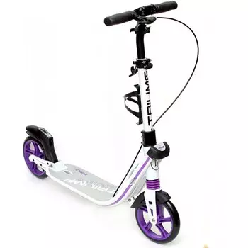 Двухколесный самокат Triumf Active K2T