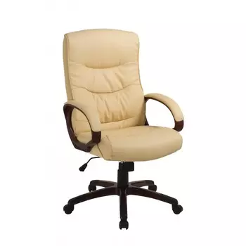 Easy Chair Кресло для руководителя 633 TR