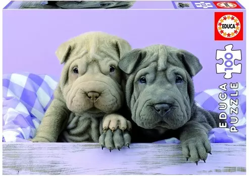 Educa Пазл Добрый день (100 деталей)