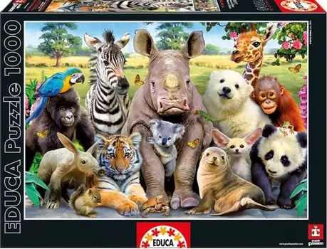 Educa Пазл Классное фото 1000 деталей