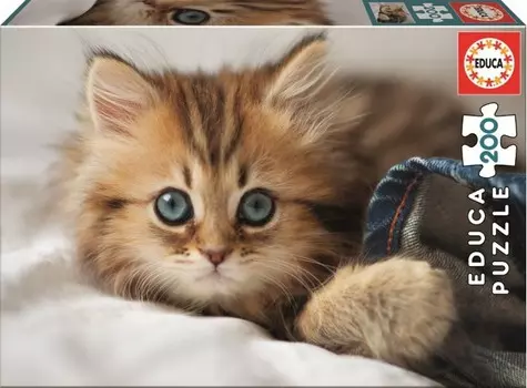 Educa Пазл Котенок (200 деталей)