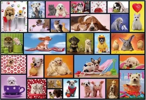 Educa Пазл Приятные моменты 1000 элементов