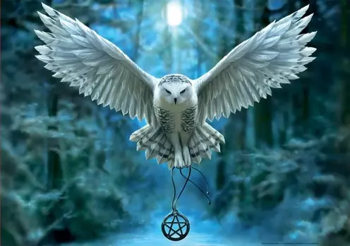 Educa Пазл Пробуди свою магию 500 деталей