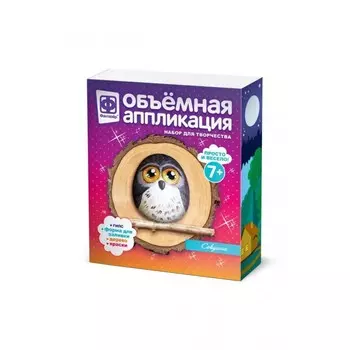 Фантазер Объемная аппликация Совушка