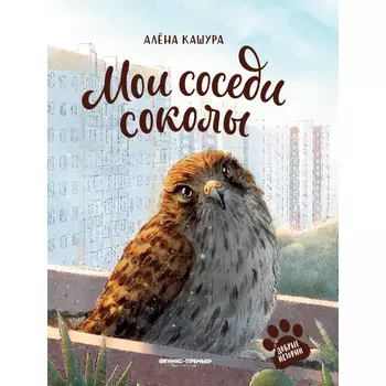 Феникс-премьер Мои соседи соколы