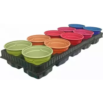 ГазонCity Набор для рассады v10.10 Rainbow