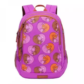 Grizzly Рюкзак школьный RD-041-3