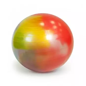 Gymnic Мяч гимнастический Фитбол Arte 65 см