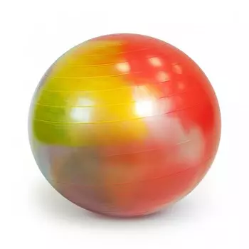 Gymnic Мяч гимнастический фитбол Arte 75 см