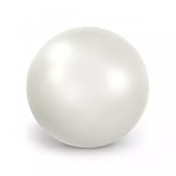 Gymnic Plus Мяч гимнастический Фитбол 55 см