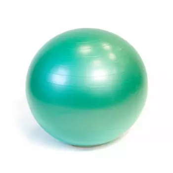 Gymnic Plus Мяч гимнастический Фитбол 65 см