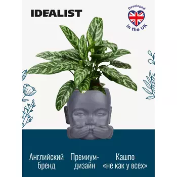 Idealist Lite Кашпо для цветов Голова Малыш-монах Ничего не говорю 24.5х24х23.5 см 4.9 л
