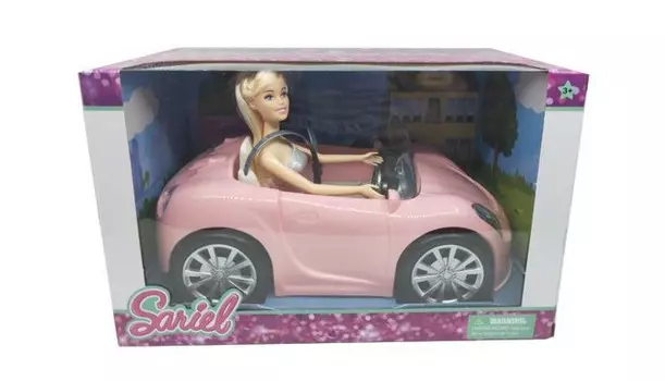 Игротрейд Кукла с машинкой в комплекте 1950215