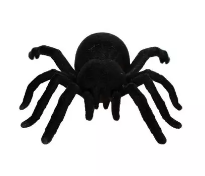 Интерактивная игрушка KiddiePlay со встроенным двигателем Тарантул