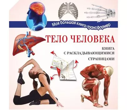 Издательство АСТ Тело Человека
