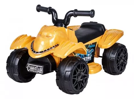 Электромобиль Farfello Квадроцикл SR607