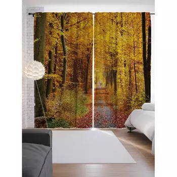 JoyArty Фотошторы для кухни и спальни Осенняя аллея 265х145 см