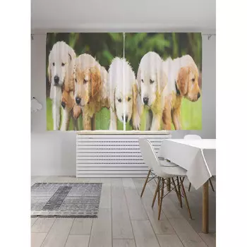 JoyArty Классические шторы Бочонок с собаками серия Oxford DeLux 2 полотна 145x180 см