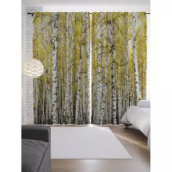 JoyArty Шторы с фотопечатью Березовая ограда из сатена 290х265 см