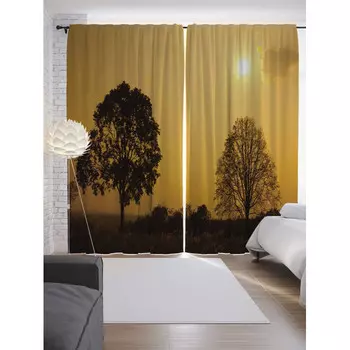 JoyArty Шторы с фотопечатью Ослепительное небо из сатена 290х265 см