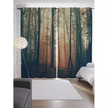 JoyArty Шторы с фотопечатью Тихий лес из сатена 290х265 см