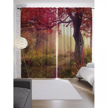 JoyArty Шторы с фотопечатью Туманные поиски из сатена 290х265 см