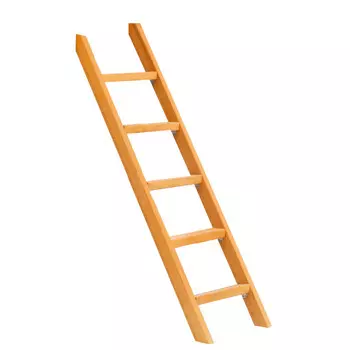 Капризун Лестница узкая для спортивного городка