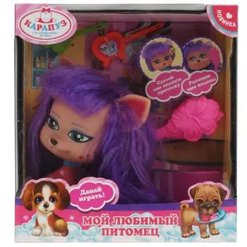 Карапуз Питомец собака с волосами