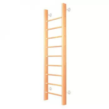 Карусель Шведская стенка 2Д.01.01-01 260х65