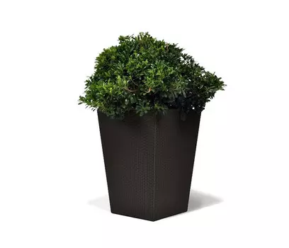 Keter Кашпо Rattan Planter L