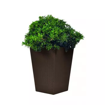 Keter Кашпо Rattan Planter M