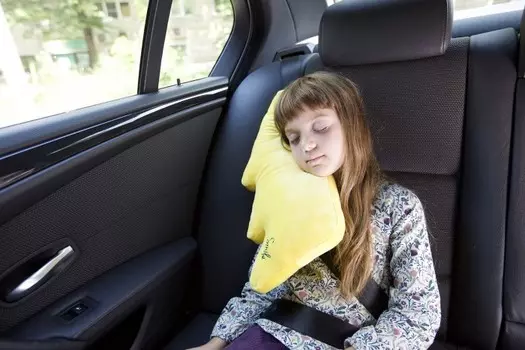 Клювонос Подушка для сна в автокресле Молния