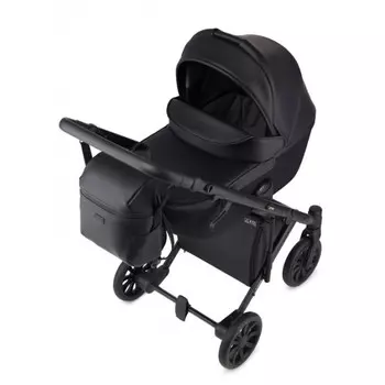 Коляска Anex E/Type 2 в 1