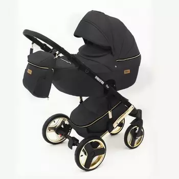 Коляска Ray Ultra Gold 2 в 1